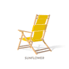 Beach Chair